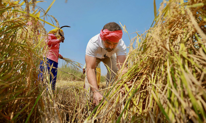 മാവോ മേഖലയിലെ ഏക ജനറൽ സീറ്റ് ആർക്ക് ? മാവോ മേഖലയിലെ ഏക ജനറൽ സീറ്റ് ആർക്ക് ?