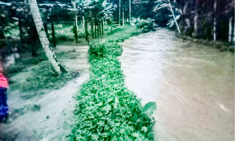 തോരാമഴ; വെള്ളക്കെട്ടിൽ മുങ്ങി നഗരം തോരാമഴ; വെള്ളക്കെട്ടിൽ മുങ്ങി നഗരം