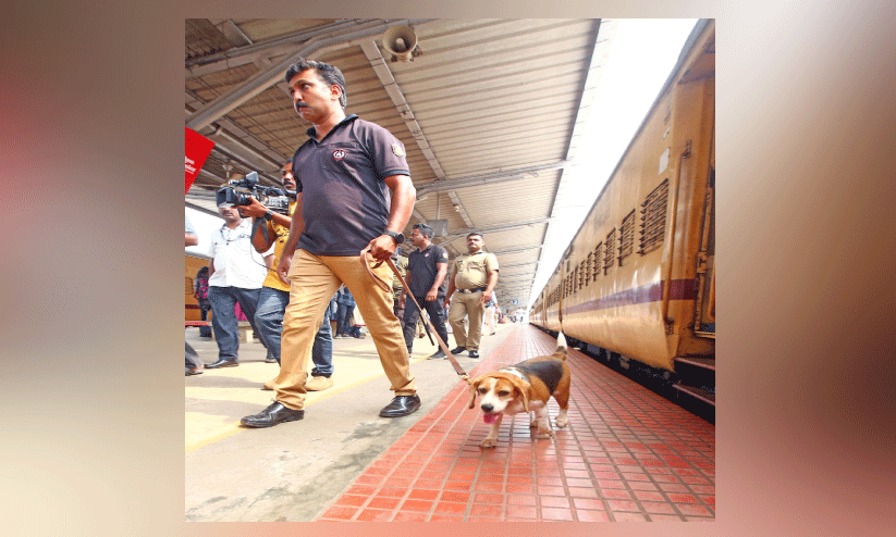 ക​ണ്ണൂ​ർ റെ​യി​ൽ​വേ സ്റ്റേ​ഷ​നി​ൽ ആ​ർ.​പി.​എ​ഫും പൊ​ലീ​സും ന​ട​ത്തി​യ പ​രി​ശോ​ധ​ന