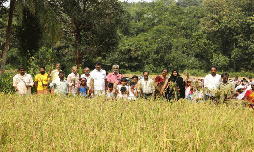 പാഠത്തീന്ന് പാടത്തേക്ക്... കൊയ്ത്തുത്സവം
