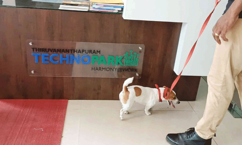 കളമശ്ശേരിയിലെ ബോംബ് സ്ഫോടനം; ടെക്നോപാർക്കിൽ പരിശോധന കളമശ്ശേരിയിലെ ബോംബ് സ്ഫോടനം; ടെക്നോപാർക്കിൽ പരിശോധന