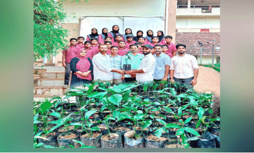 സ്കൂൾ ഫോറസ്ട്രി ക്ലബിന് മാവിൻതൈകൾ നൽകി പൂർവവിദ്യാർഥി