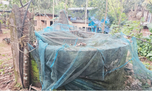 അപകടാവസ്ഥയിലായ കിണർ അപകടാവസ്ഥയിലായ കിണർ