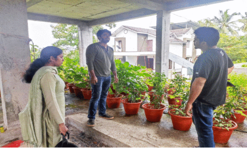 കൃഷി നനക്കാൻ പ്രോപ്ലാന്റർ സാ​ങ്കേതിക വിദ്യയുമായി നിറവ് വേങ്ങേരി യുവകർഷകർ