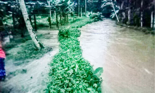 തോരാമഴ; വെള്ളക്കെട്ടിൽ മുങ്ങി നഗരം