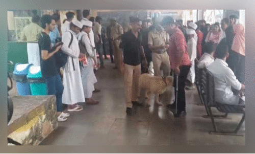 കാ​സ​ർ​കോ​ട്​ റെ​യി​ൽ​വേ സ്​​റ്റേ​ഷ​നി​ൽ ന​ട​ത്തി​യ പ​രി​ശോ​ധ​ന