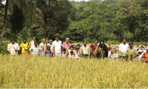 പാഠത്തീന്ന് പാടത്തേക്ക്... കൊയ്ത്തുത്സവം