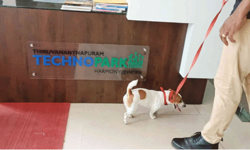 കളമശ്ശേരിയിലെ ബോംബ് സ്ഫോടനം; ടെക്നോപാർക്കിൽ പരിശോധന