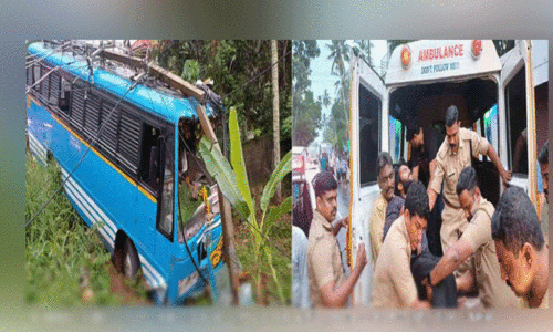 പോസ്റ്റിലിടിച്ച ബസ്​ കുഴിയിലിറങ്ങി ഏഴുപേർക്ക് പരിക്ക്