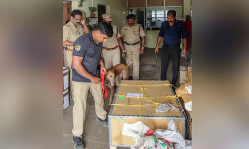 കളമശ്ശേരി സ്​ഫോടനം: ജില്ലയിൽ കനത്ത പരിശോധന