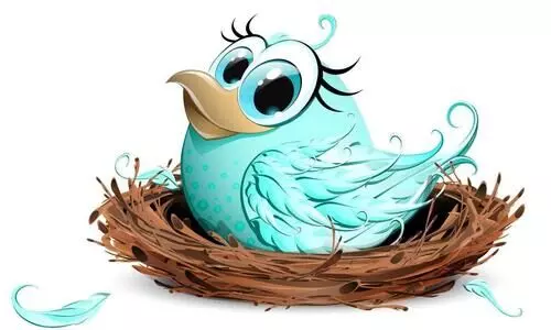 കിളിയും കിളിക്കൂടും