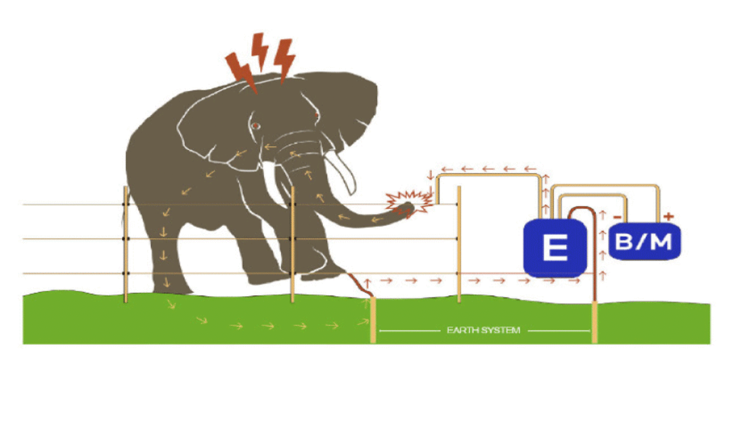 കാന്തല്ലൂർ, മറയൂർ പഞ്ചായത്തുകളിലെ കാട്ടാന ശല്യം പരിഹരിക്കാൻ സൗരോർജ തൂക്കുവേലി