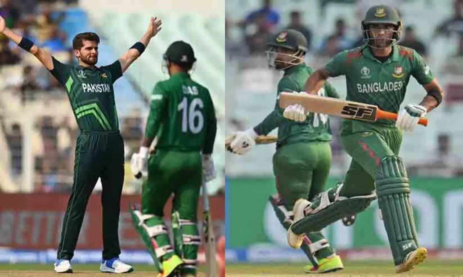 ബംഗ്ലാദേശിനെതിരെ പാകിസ്താന് 205 റൺസ് വിജയ ലക്ഷ്യം