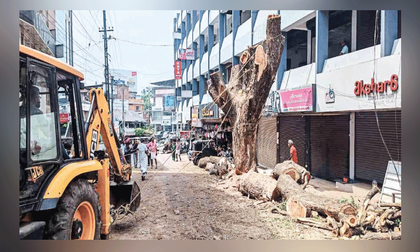മ​രം മു​റി​ക്കു​ന്ന​തി​നെ​തി​രെ ഒ​റ്റ​യാ​ൾ പ്ര​തി​ഷേ​ധം;   സ​മ​ര​ക്കാ​ര​നെ​തി​രെ നാ​ട്ടു​കാ​ർ