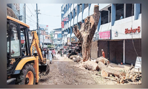 മ​രം മു​റി​ക്കു​ന്ന​തി​നെ​തി​രെ ഒ​റ്റ​യാ​ൾ പ്ര​തി​ഷേ​ധം;   സ​മ​ര​ക്കാ​ര​നെ​തി​രെ നാ​ട്ടു​കാ​ർ