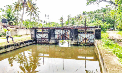 ഒ​രു ഷ​ട്ട​ർ മാ​ത്രം തു​റ​ന്ന ചാ​ലാ​പ്പ​ള്ളി തോ​ട്