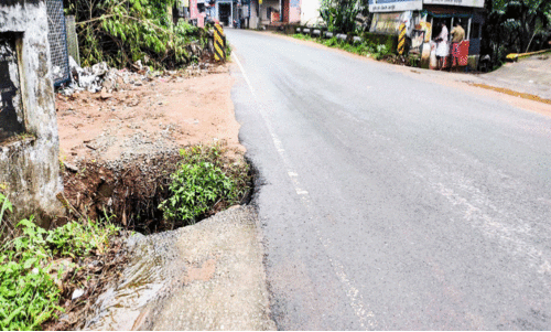 റോ​ഡ​രി​കി​ലു​ള്ള അ​പ​ക​ട​ക്കെ​ണി