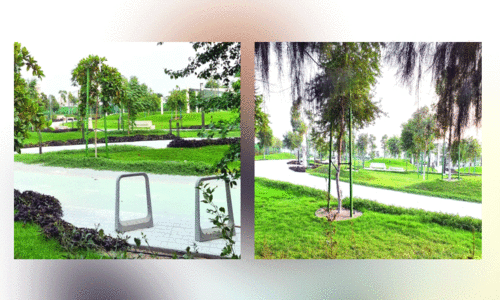 അ​ൽ ത​മീ​ദ് പാ​ർ​ക്ക്