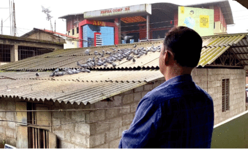 sanjay sett sanjay sett