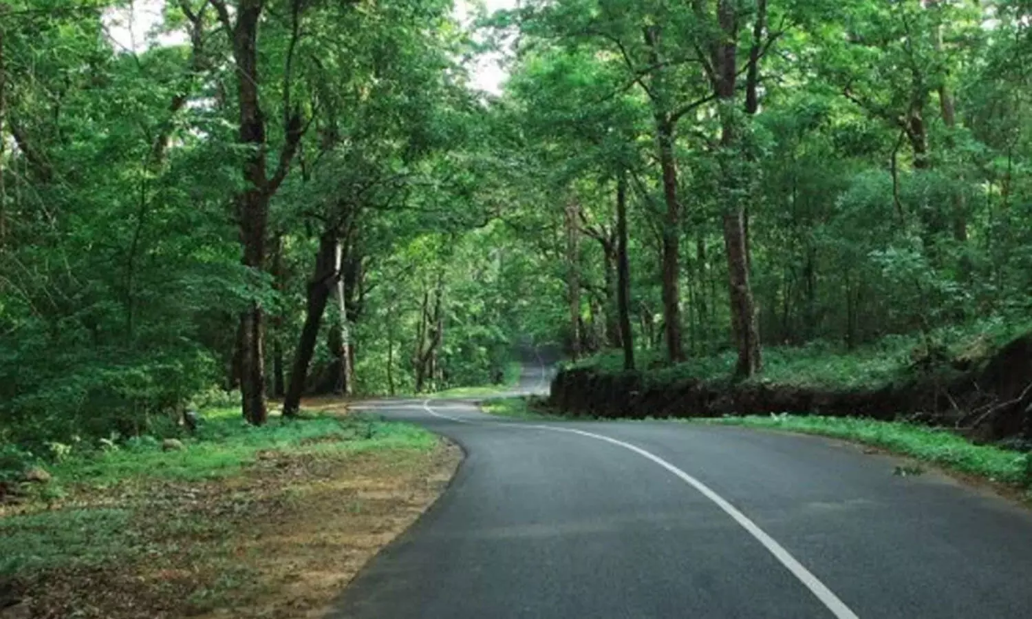 Athirappilly Malakkappara route