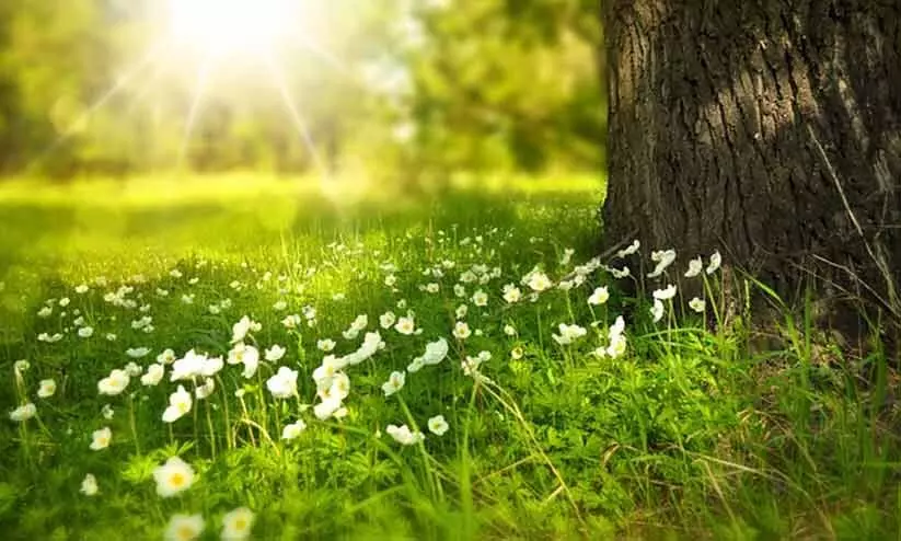 വഴികാട്ടി വഴികാട്ടി