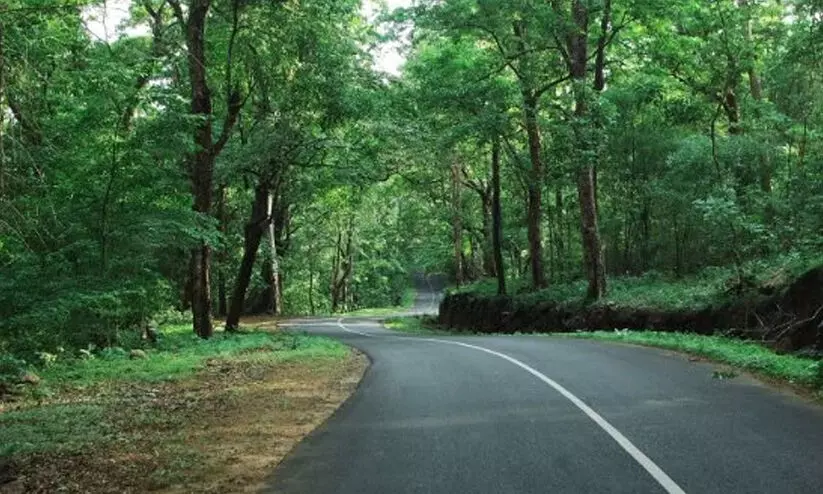 Athirappilly Malakkappara route