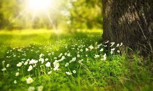 വഴികാട്ടി