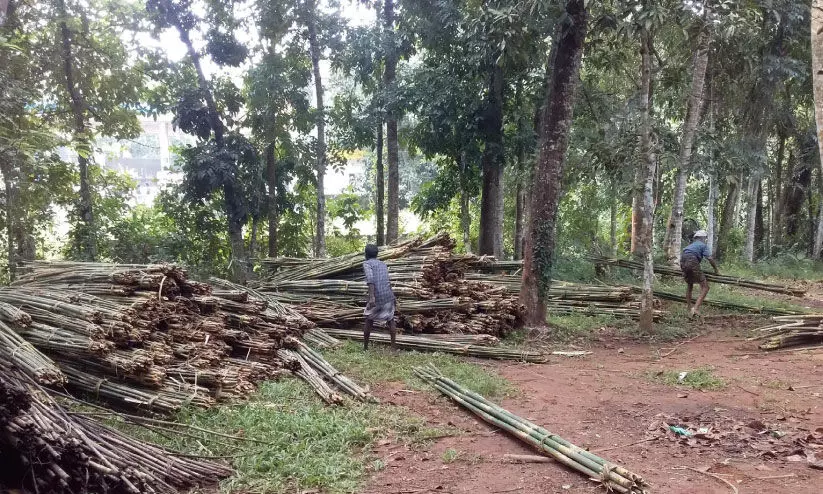 reed supply reed supply