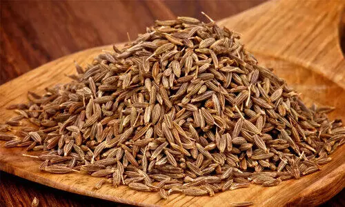 ഹമ്പട.. ജീരകമേ..800 കടന്ന് ജീരകം; ചെറുധാന്യങ്ങൾക്കും പൊന്നും വില