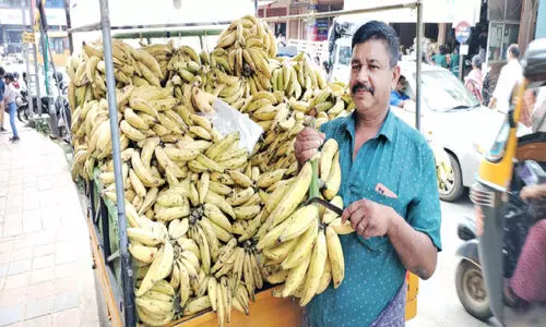 പ​ച്ചക്കാ​യ​ക്ക് വി​ല​യി​ടി​വ്; പ​ഴ​ത്തി​ന് മെ​ച്ചം