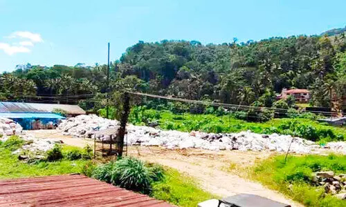 കുരുക്കായി പാഴ്വസ്തുക്കള് കുരുക്കായി പാഴ്വസ്തുക്കള്