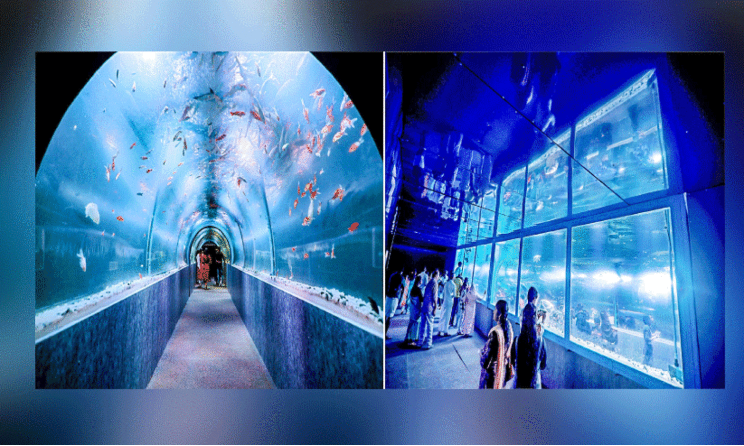 ആ​ശ്രാ​മ​ത്തെ ആ​ഴ​ക്ക​ട​ൽ കാ​​ഴ്ച​ക​ൾ കാ​ണാ​ൻ തി​ര​ക്കേ​റി