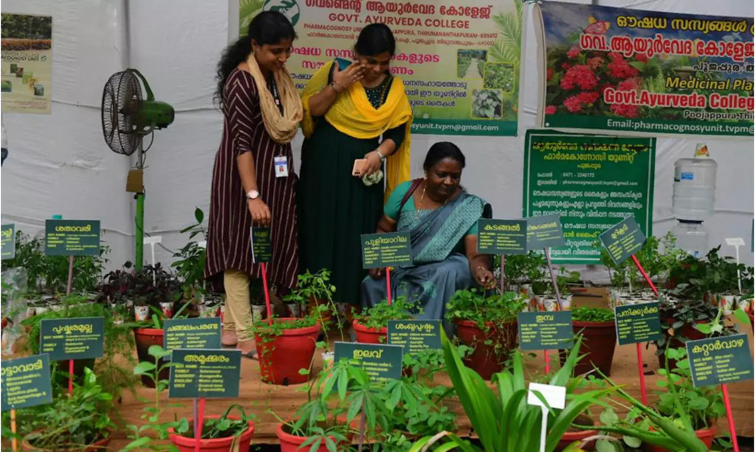 കാവും കുളവും...പിന്നെ നാരങ്ങാ ഗന്ധമുള്ള കുരുമുളകും: ഔഷധ ചെടികളുടെ പ്രദര്‍ശനം ശ്രദ്ധേയം