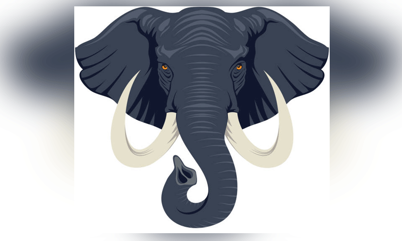 പാലപ്പിള്ളി കുണ്ടായിയിൽ കാട്ടാനക്കൂട്ടം പാലപ്പിള്ളി കുണ്ടായിയിൽ കാട്ടാനക്കൂട്ടം