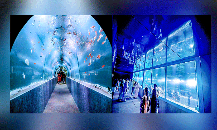 ആ​ശ്രാ​മ​ത്തെ ആ​ഴ​ക്ക​ട​ൽ കാ​​ഴ്ച​ക​ൾ കാ​ണാ​ൻ തി​ര​ക്കേ​റി