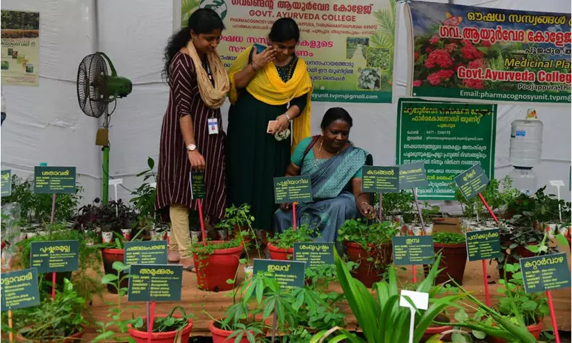 കാവും കുളവും...പിന്നെ നാരങ്ങാ ഗന്ധമുള്ള കുരുമുളകും: ഔഷധ ചെടികളുടെ പ്രദര്‍ശനം ശ്രദ്ധേയം