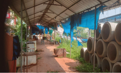 ദേശീയപാത നിർമാണം: മത്സ്യ മാർക്കറ്റിലേക്കുള്ള വഴി അടഞ്ഞു