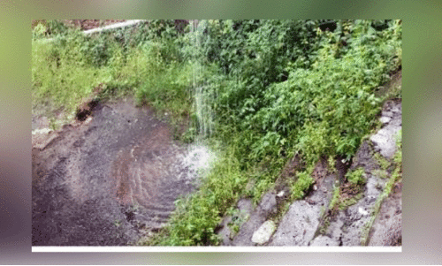 കു​ടി​വെ​ള്ളം പാ​ഴാ​കു​ന്നു; ത​ട​യാ​ൻ ന​ട​പ​ടി​യി​ല്ല