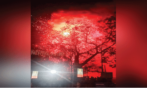 നിരോധന വിധി: തൃശൂർ പൂരം വെടിക്കെട്ടിന് ആശങ്ക