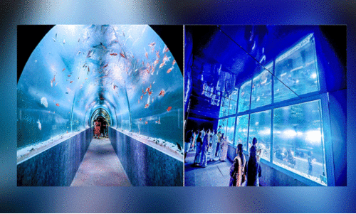 ആ​ശ്രാ​മ​ത്തെ ആ​ഴ​ക്ക​ട​ൽ കാ​​ഴ്ച​ക​ൾ കാ​ണാ​ൻ തി​ര​ക്കേ​റി