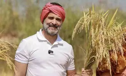 ഛത്തീസ്ഗഢിലെ കർഷകരോടൊപ്പമുള്ള വിഡിയോ പങ്കുവെച്ച് രാഹുൽ ഗാന്ധി