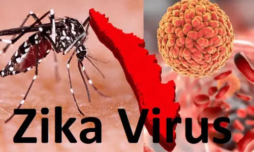 Zika Virus