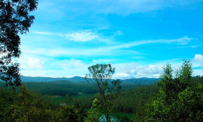 Nilgiris
