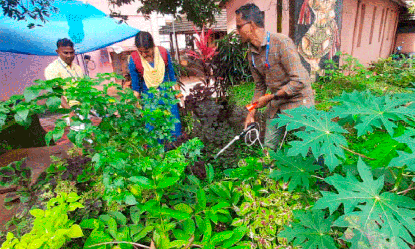 സിക വൈറസ്;  കൊതുകിനെ തുരത്താൻ തലശ്ശേരി കോടതിയിൽ മരുന്ന് പ്രയോഗം