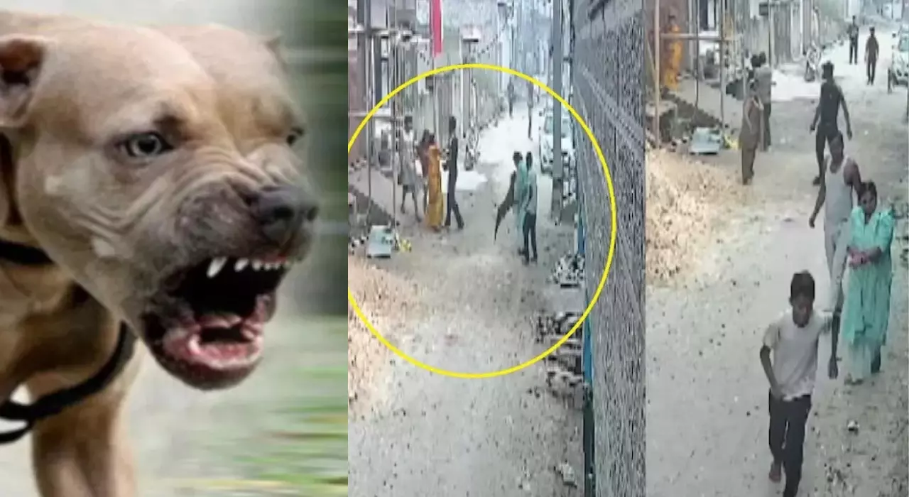 വാക്കേറ്റത്തിനിടെ പിറ്റ്ബുൾ ഇനത്തിൽപെട്ട നായയെ അഴിച്ചുവിട്ട് അക്രമിച്ചു; അയൽക്കാരനെതിരെ പരാതിയുമായി യുവതി