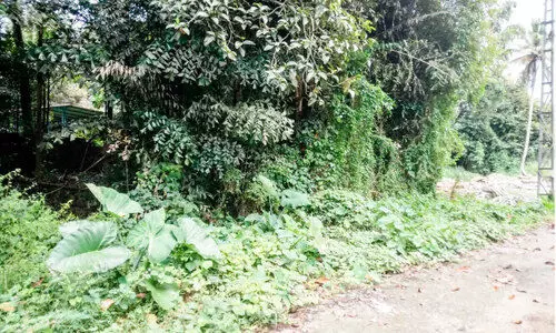 കാൽ നൂറ്റാണ്ട്​ പിന്നിട്ട ഉറപ്പ്​;  ഇനിയും സ്ഥലമാകാതെ പന്തളം ഫയർ സ്റ്റേഷൻ