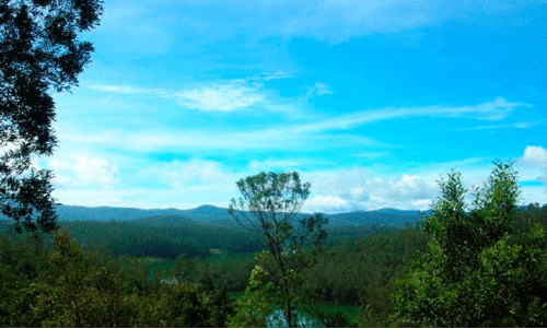 Nilgiris