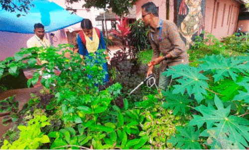 സിക വൈറസ്;  കൊതുകിനെ തുരത്താൻ തലശ്ശേരി കോടതിയിൽ മരുന്ന് പ്രയോഗം