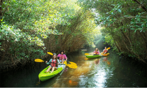 വി​സ്മ​ക്കാ​ഴ്ച​ക​ളു​മാ​യി ക​യാ​ക്കി​ങ്​