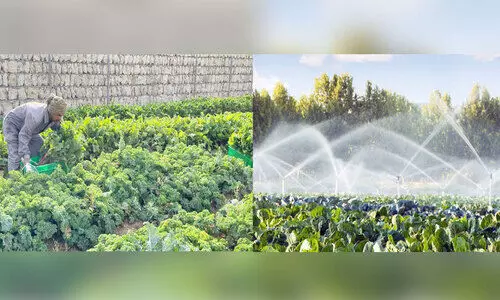 qatar farm qatar farm